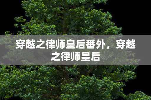 穿越之律师皇后番外，穿越之律师皇后