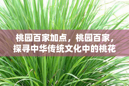 桃园百家加点，桃园百家，探寻中华传统文化中的桃花源