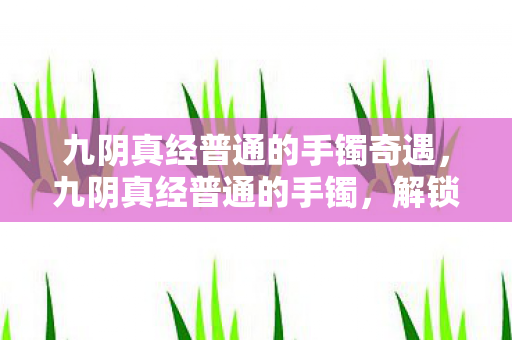 九阴真经普通的手镯奇遇，九阴真经普通的手镯，解锁武侠世界的神秘信物