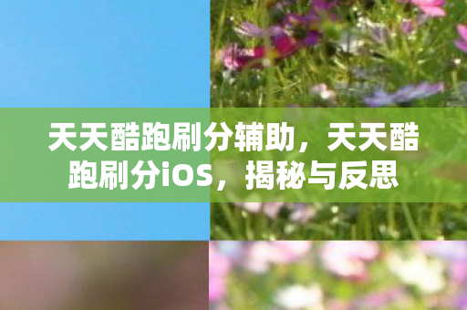 天天酷跑刷分辅助，天天酷跑刷分iOS，揭秘与反思