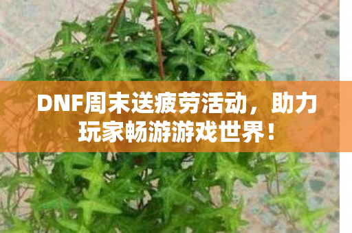 DNF周末送疲劳活动，助力玩家畅游游戏世界！