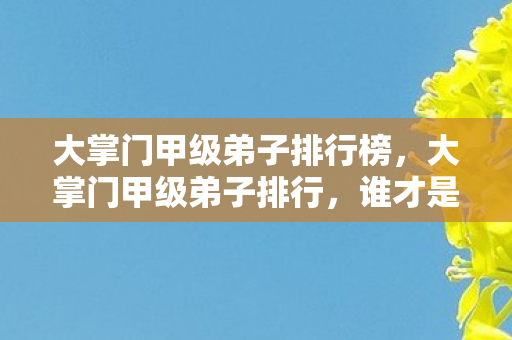 大掌门甲级弟子排行榜，大掌门甲级弟子排行，谁才是江湖中的翘楚？