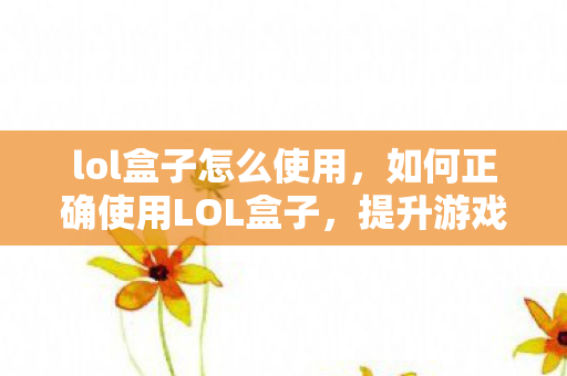 lol盒子怎么使用，如何正确使用LOL盒子，提升游戏体验的必备工具