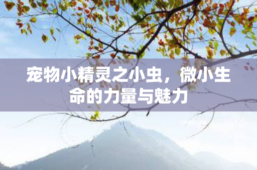 宠物小精灵之小虫,微小生命的力量与魅力 宠物小精灵之小虫,微小生命的力量与魅力