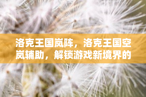 洛克王国岚阵，洛克王国空岚辅助，解锁游戏新境界的必备神器