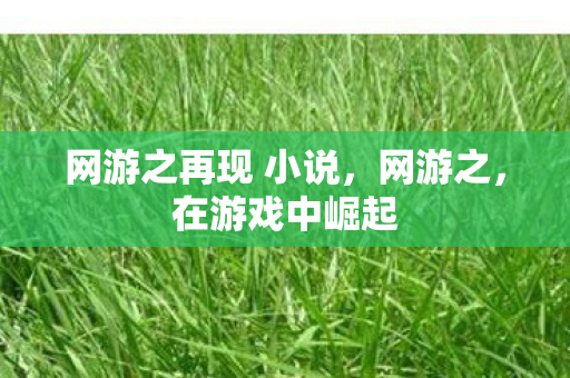 网游之再现 小说，网游之，在游戏中崛起