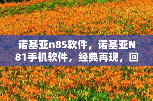 诺基亚n85软件，诺基亚N81手机软件，经典再现，回忆杀！