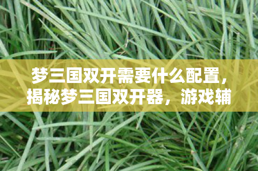 梦三国双开需要什么配置，揭秘梦三国双开器，游戏辅助工具的双刃剑效应