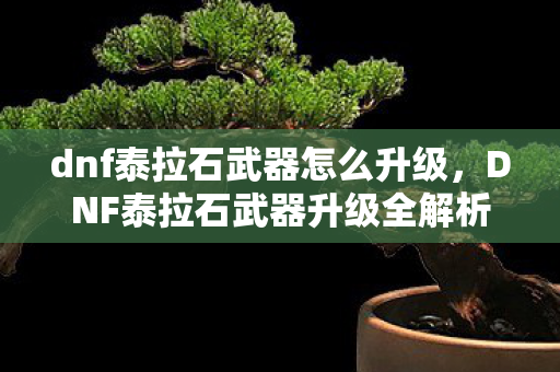 dnf泰拉石武器怎么升级，DNF泰拉石武器升级全解析，打造终极战斗力的必备指南