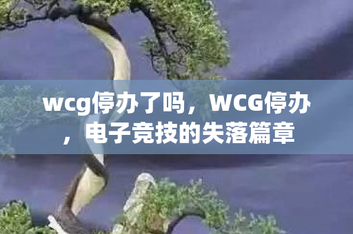 wcg停办了吗，WCG停办，电子竞技的失落篇章