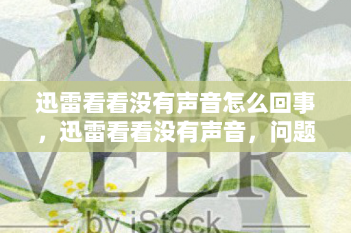 迅雷看看没有声音怎么回事,迅雷看看没有声音,问题排查与解决方案 迅雷看看没有声音怎么回事,迅雷看看没有声音,问题排查与解决方案