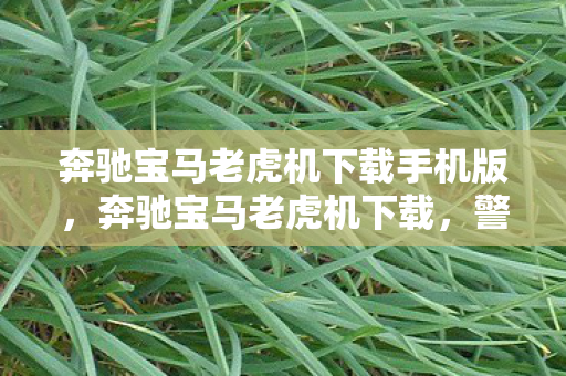 奔驰宝马老虎机下载手机版，奔驰宝马老虎机下载，警惕网络赌博陷阱