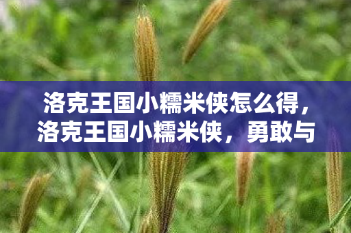 洛克王国小糯米侠怎么得,洛克王国小糯米侠,勇敢与智慧的化身 洛克王国小糯米侠怎么得,洛克王国小糯米侠,勇敢与智慧的化身