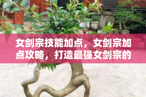 女剑宗技能加点，女剑宗加点攻略，打造最强女剑宗的秘诀