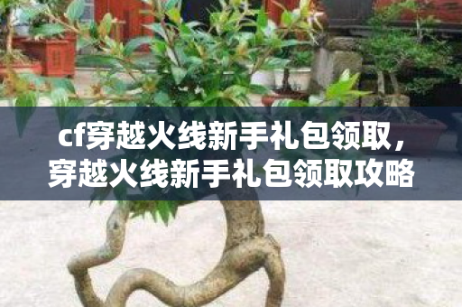 cf穿越火线新手礼包领取，穿越火线新手礼包领取攻略，助你快速上手游戏