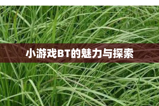 小游戏BT的魅力与探索