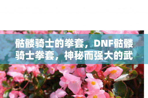 骷髅骑士的拳套，DNF骷髅骑士拳套，神秘而强大的武器