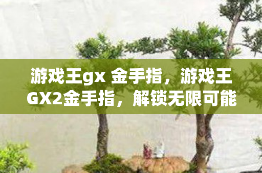 游戏王gx 金手指，游戏王GX2金手指，解锁无限可能的秘密