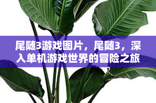 尾随3游戏图片，尾随3，深入单机游戏世界的冒险之旅