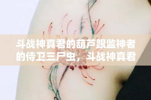 斗战神真君的葫芦跟监神者的侍卫三尸虫，斗战神真君的葫芦，神话与传说的交汇