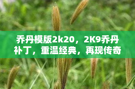 乔丹模版2k20，2K9乔丹补丁，重温经典，再现传奇