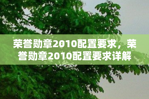 荣誉勋章2010配置要求，荣誉勋章2010配置要求详解