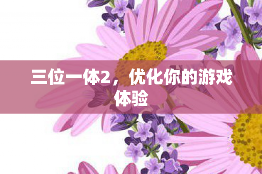 三位一体2，优化你的游戏体验
