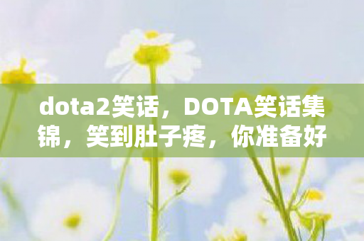 dota2笑话，DOTA笑话集锦，笑到肚子疼，你准备好了吗？