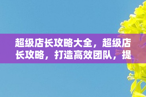超级店长攻略大全，超级店长攻略，打造高效团队，提升销售业绩