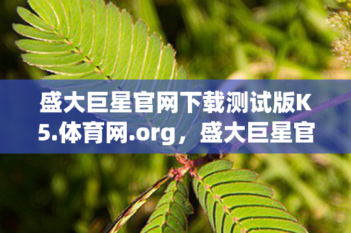 盛大巨星官网下载测试版K5.体育网.org，盛大巨星官网，探索娱乐新纪元