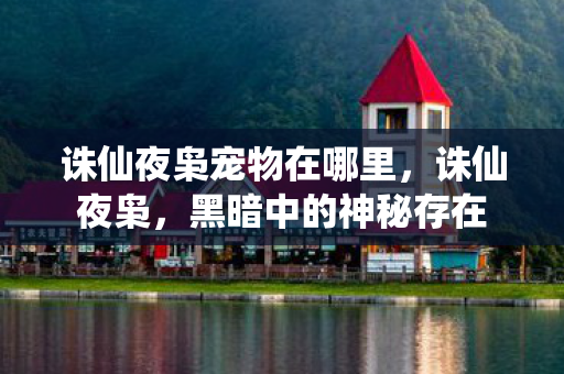 诛仙夜枭宠物在哪里，诛仙夜枭，黑暗中的神秘存在