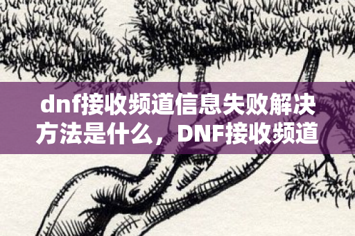 dnf接收频道信息失败解决方法是什么，DNF接收频道信息失败解决方法