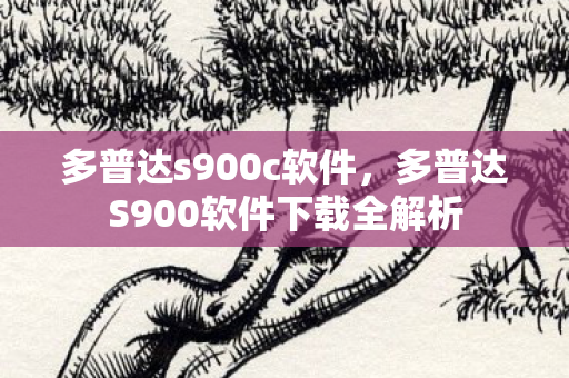 多普达s900c软件，多普达S900软件下载全解析