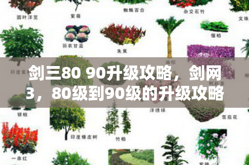 剑三80 90升级攻略，剑网3，80级到90级的升级攻略