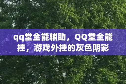 qq堂全能辅助，QQ堂全能挂，游戏外挂的灰色阴影
