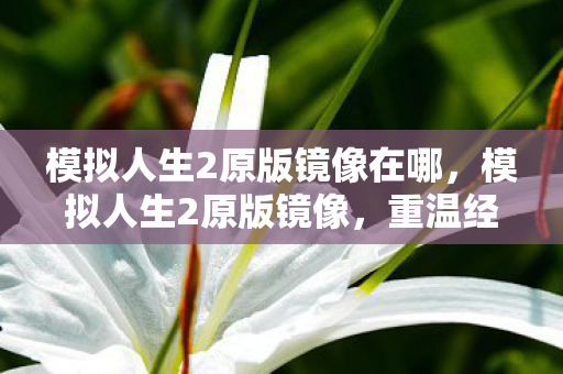 模拟人生2原版镜像在哪，模拟人生2原版镜像，重温经典，探索无限可能