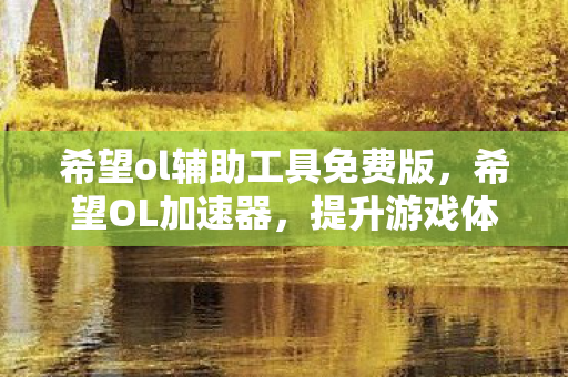 希望ol辅助工具免费版，希望OL加速器，提升游戏体验的必备工具