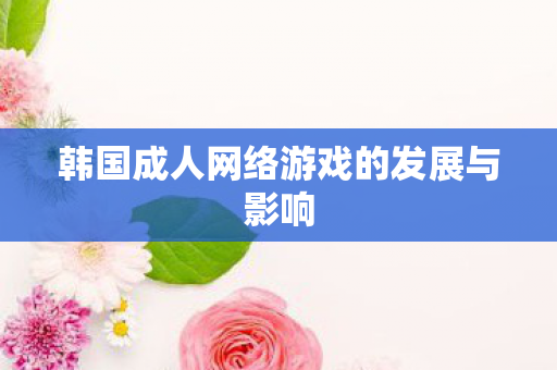 韩国成人网络游戏的发展与影响 韩国成人网络游戏的发展与影响