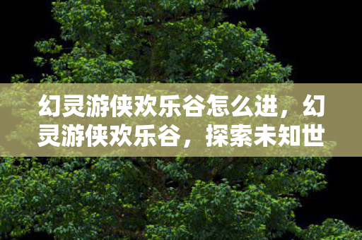 幻灵游侠欢乐谷怎么进，幻灵游侠欢乐谷，探索未知世界的奇幻之旅