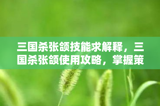 三国杀张颌技能求解释，三国杀张颌使用攻略，掌握策略，提升胜率