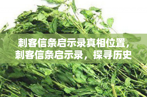 刺客信条启示录真相位置，刺客信条启示录，探寻历史的真相