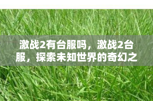 激战2有台服吗，激战2台服，探索未知世界的奇幻之旅