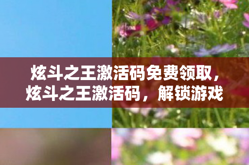 炫斗之王激活码免费领取，炫斗之王激活码，解锁游戏世界的神秘钥匙