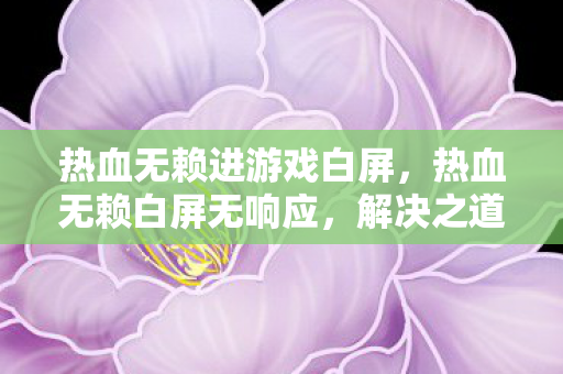热血无赖进游戏白屏，热血无赖白屏无响应，解决之道与游戏心得