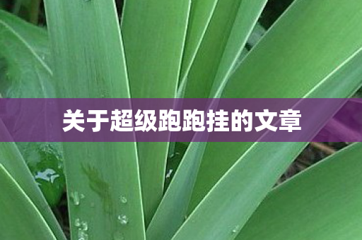 关于超级跑跑挂的文章