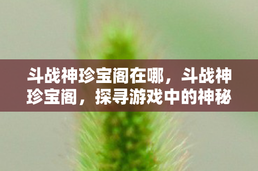 斗战神珍宝阁在哪，斗战神珍宝阁，探寻游戏中的神秘宝藏