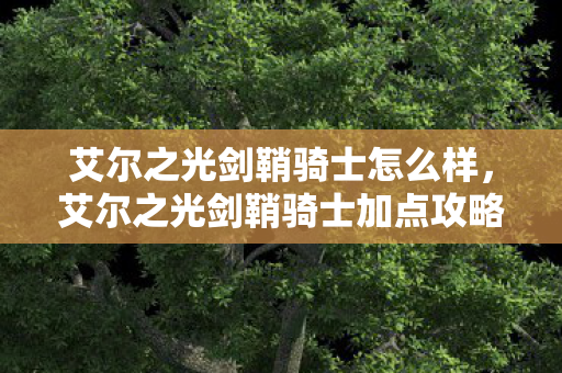 艾尔之光剑鞘骑士怎么样，艾尔之光剑鞘骑士加点攻略