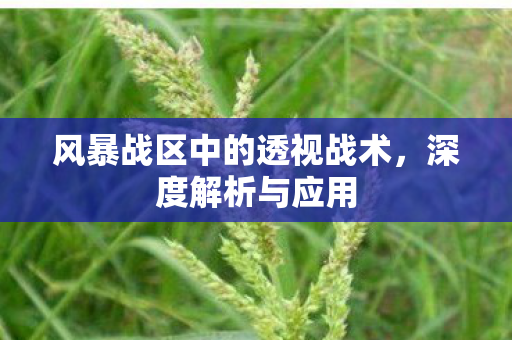 风暴战区中的透视战术，深度解析与应用