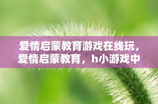 爱情启蒙教育游戏在线玩，爱情启蒙教育，h小游戏中的情感启蒙