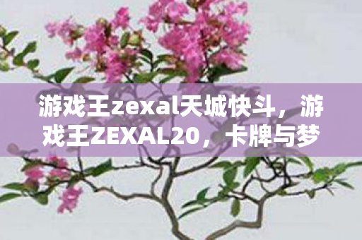 游戏王zexal天城快斗，游戏王ZEXAL20，卡牌与梦想的交响曲